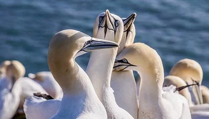 行程结束，中方代表团离开美国，当着全世界面，特朗普送出11个字