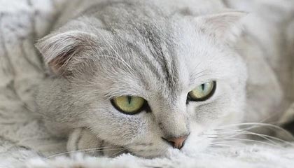 上海再现“秋老虎”！今日最高温再冲30℃+ ，预报中的雨没来？别急！周末冷空气携风雨终结闷热