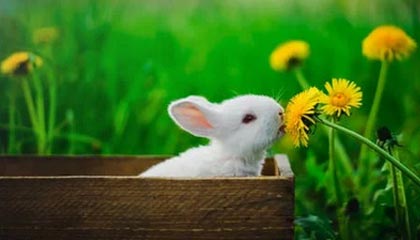 “北京·都行”快乐足球嘉年华暨村超“一带一路”行（北京站）权益交易项目挂牌招商