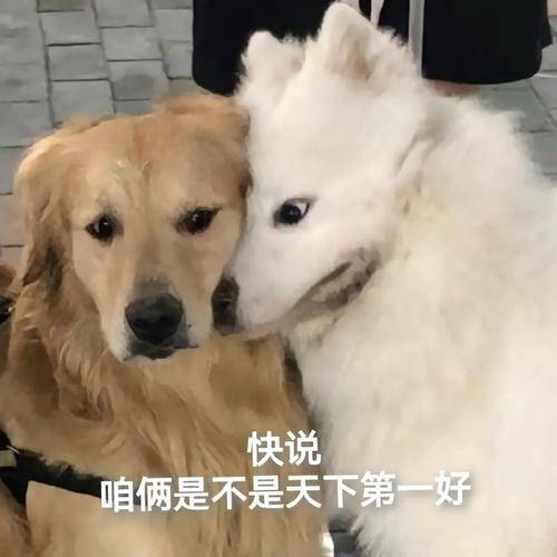 企业如何合规访问海外网络，访问国外网站？