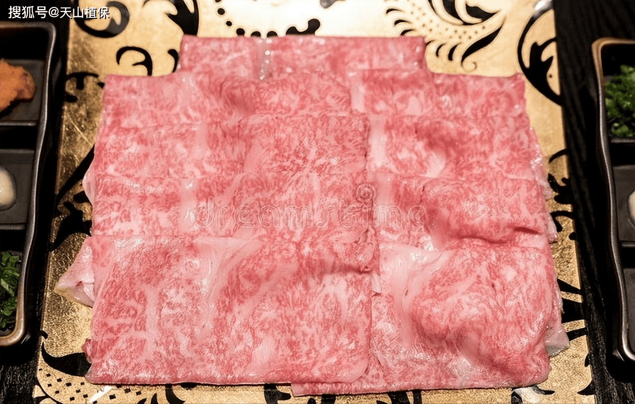 肉牛品种最好的有几种