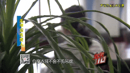 00后女子上海旅游两个月花费0元，衣食住行赖账全靠“薅羊毛”，上海警方：已抓获！