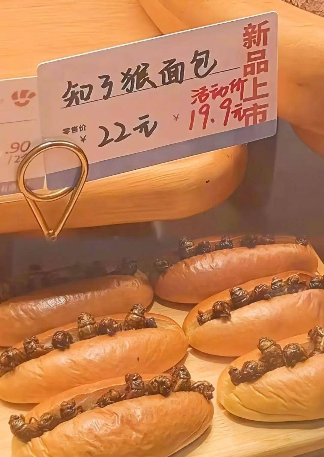 一斤超百元！山东的知了猴怎么就火出圈了？