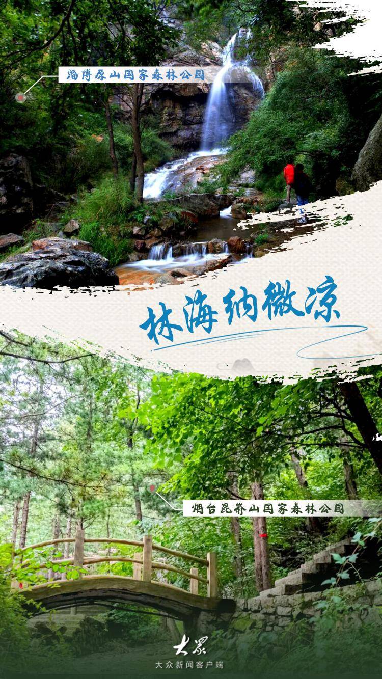 大暑至！山东8大避暑宝地为你“凉”身定做神仙夏日
