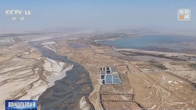 沙漠边缘养螃蟹 新疆如何做到“海鲜”大丰收？